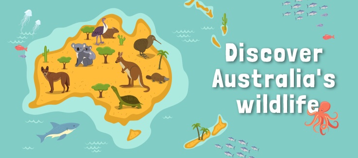Australia's Wildlife